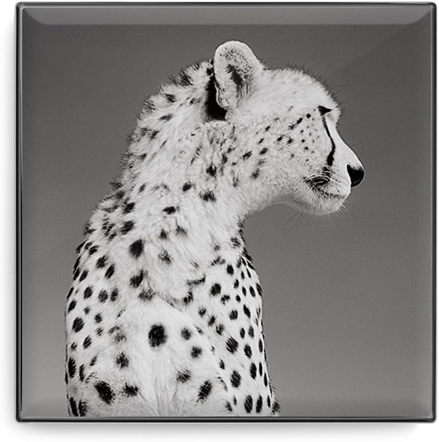 Luminescent Eye Shade