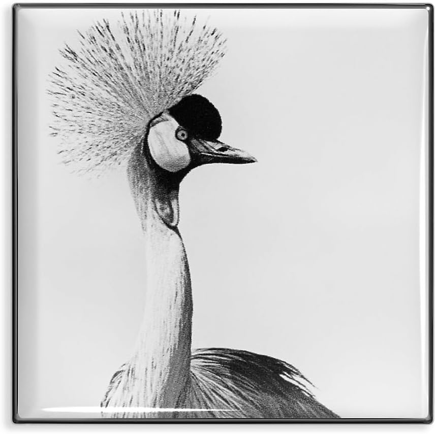 Luminescent Eye Shade