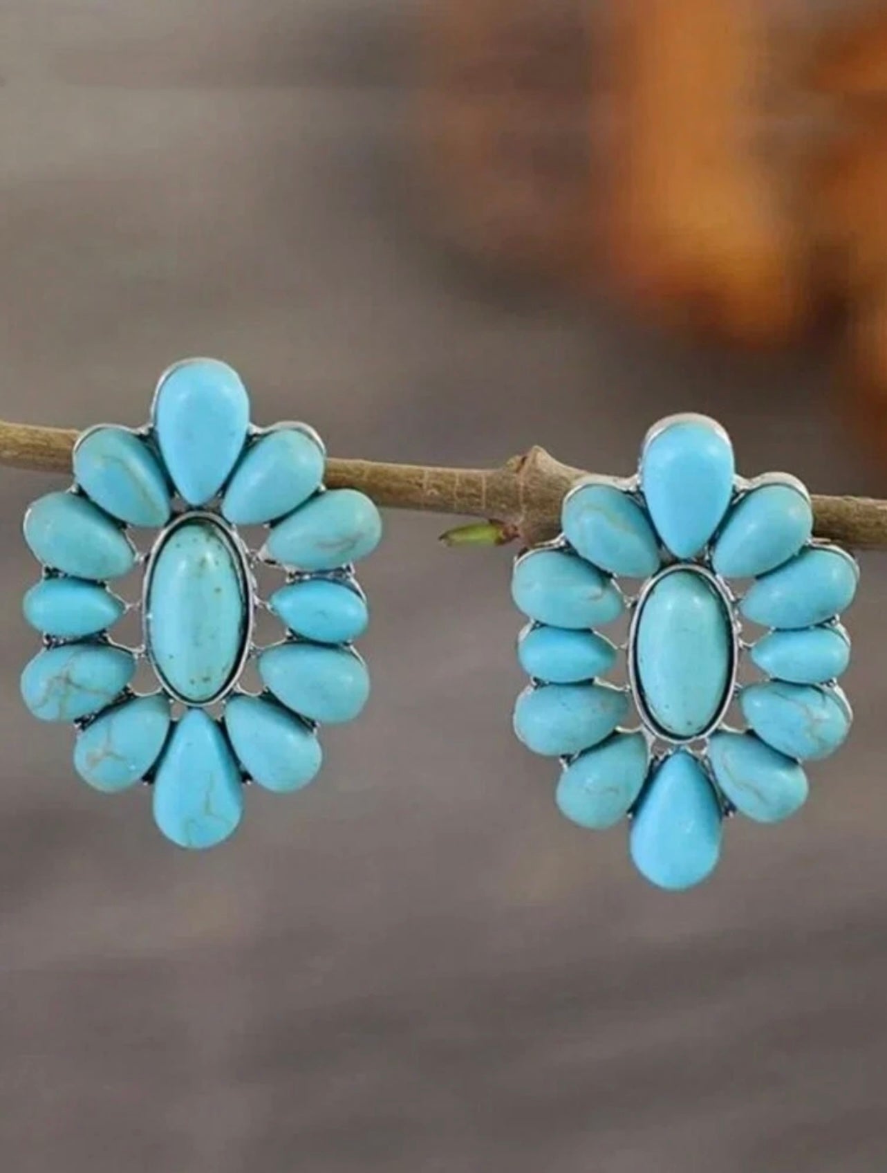 Turquoise Decor Earrings