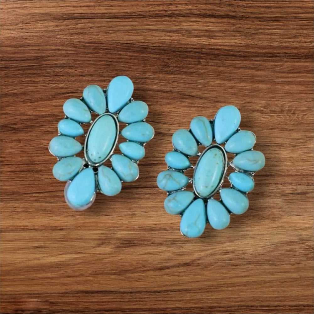 Turquoise Decor Women's Earrings