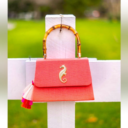 Lisi Lerch Coral Handbag with Bamboo Handle-NWOT
