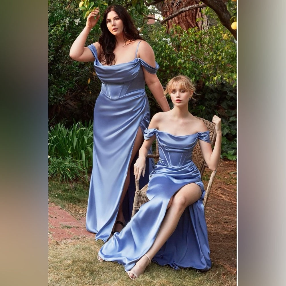 Ladivine Cinderella Divine 7488 Formal Evening Long
Prom Dress -NWT