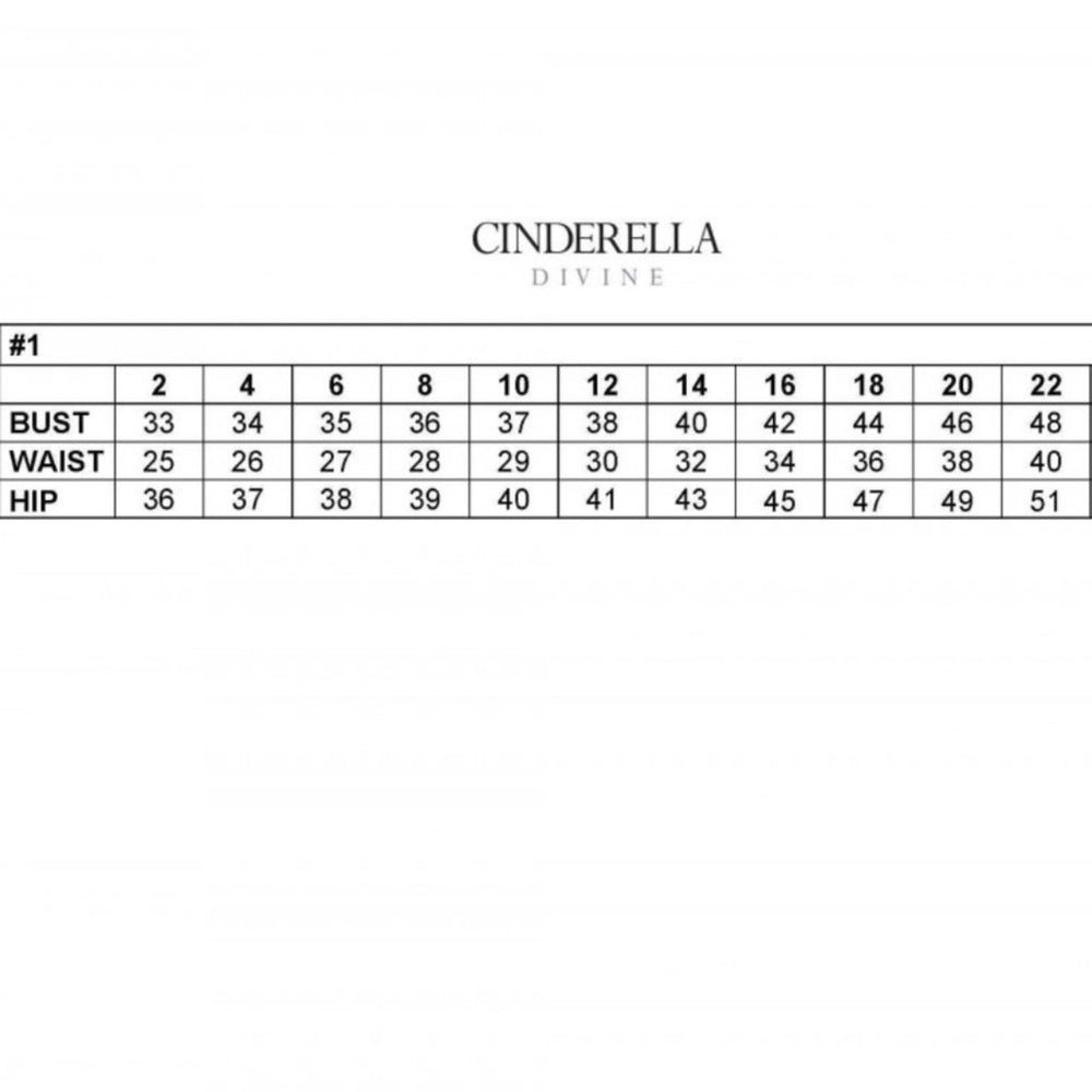 Ladivine Cinderella Divine 7488 Formal Evening Long
Prom Dress -NWT